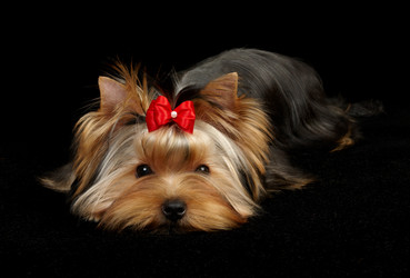 Similar image 990669