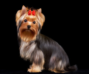 Similar image 990671