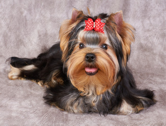 Similar image 990674