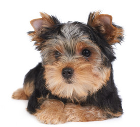 Similar image 990678