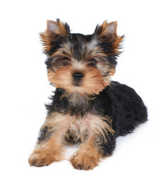 Similar image 990679