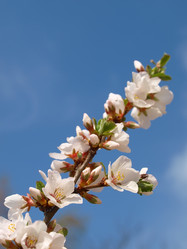 Similar image 990685