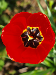 Similar image 990688