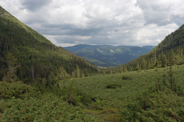 Similar image 990689