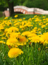 Similar image 990692