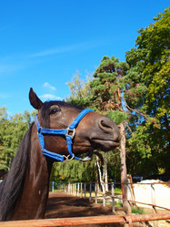 Similar image 990695