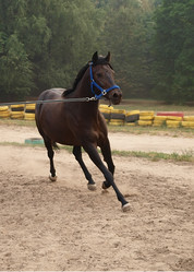 Similar image 990702