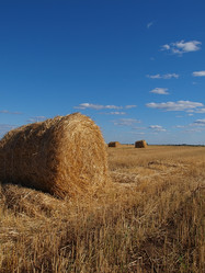 Similar image 990710