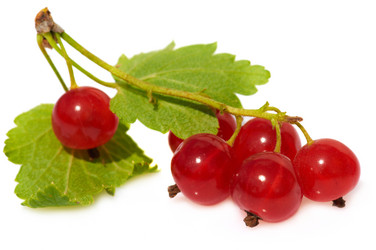 Similar image 990717