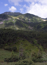 Similar image 990723