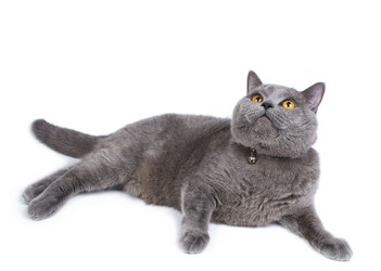 Similar image 990725