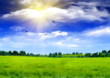 Similar image 990726