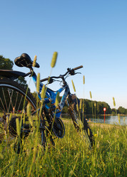 Similar image 990729