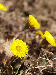 Similar image 990732