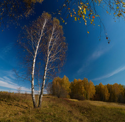 Similar image 990739