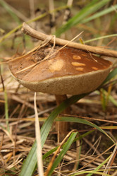 Similar image 990764