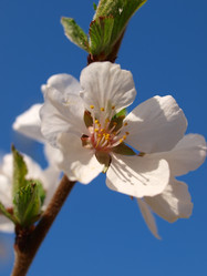 Similar image 990766