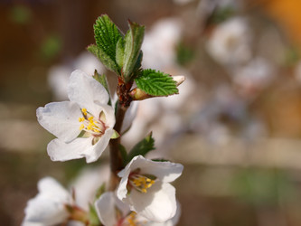 Similar image 990769