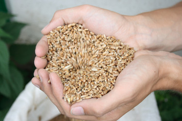 Similar image 990803