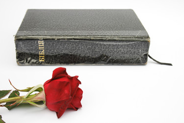 Similar image 990864