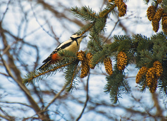 Similar image 990888