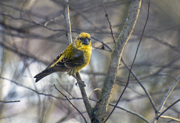 Similar image 990891