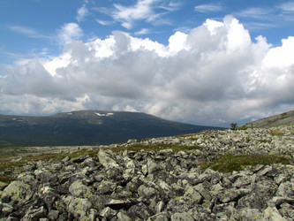 Similar image 990905