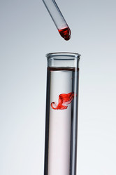 Similar image 990934