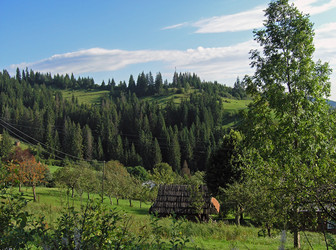 Similar image 990957