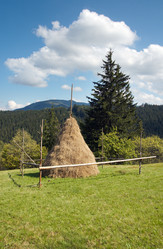 Similar image 990964