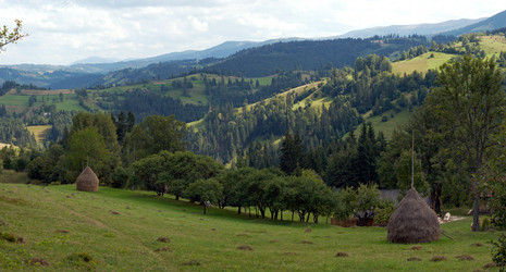 Similar image 990967