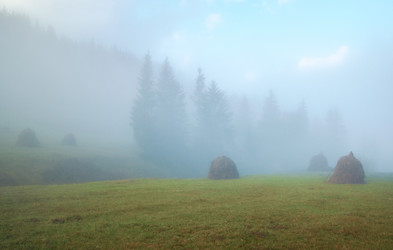 Similar image 990992