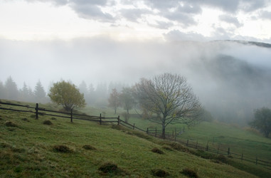 Similar image 990994