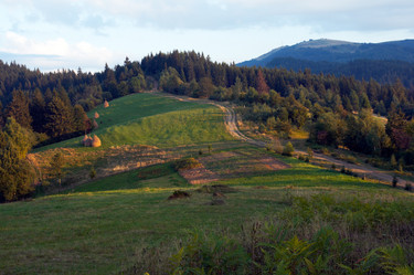 Similar image 991030