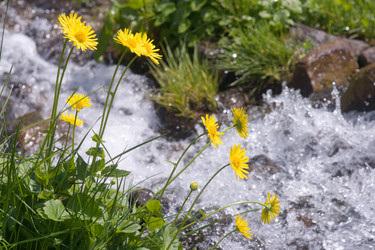 Similar image 991041