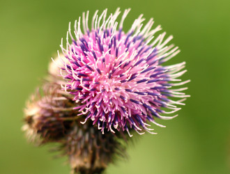 Similar image 991073