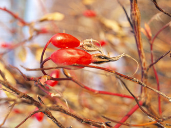 Similar image 991075