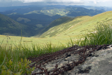 Similar image 991089