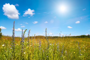 Similar image 991107