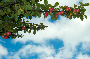 Similar image 991116