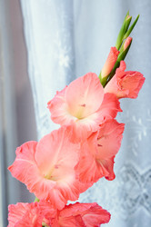 Similar image 991120