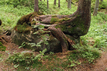 Similar image 991127