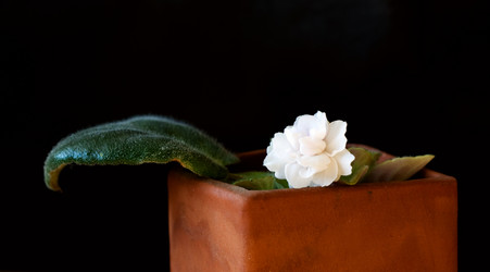 Similar image 991149