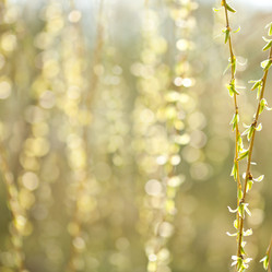 Similar image 991184