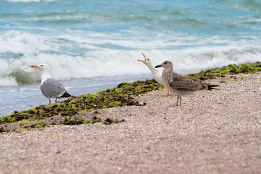 Similar image 991238