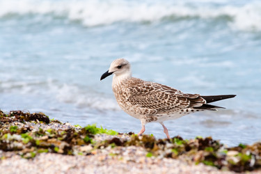 Similar image 991239