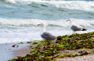 Similar image 991240