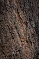 Similar image 991247