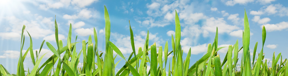 Similar image 991250