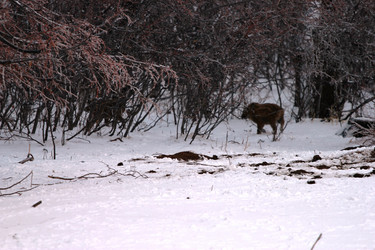 Similar image 991253